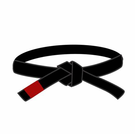bjj black belt